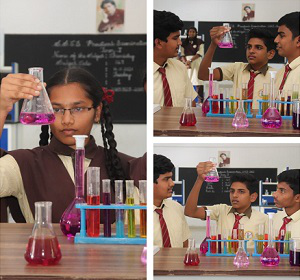 lab